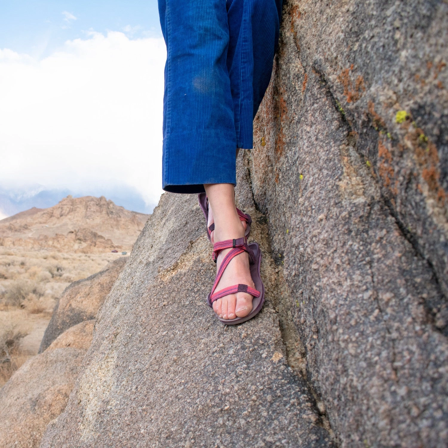 Wanderschuhe Gummersbach Xero Shoes Z-Trail EV Woman - magenta (Restposten)