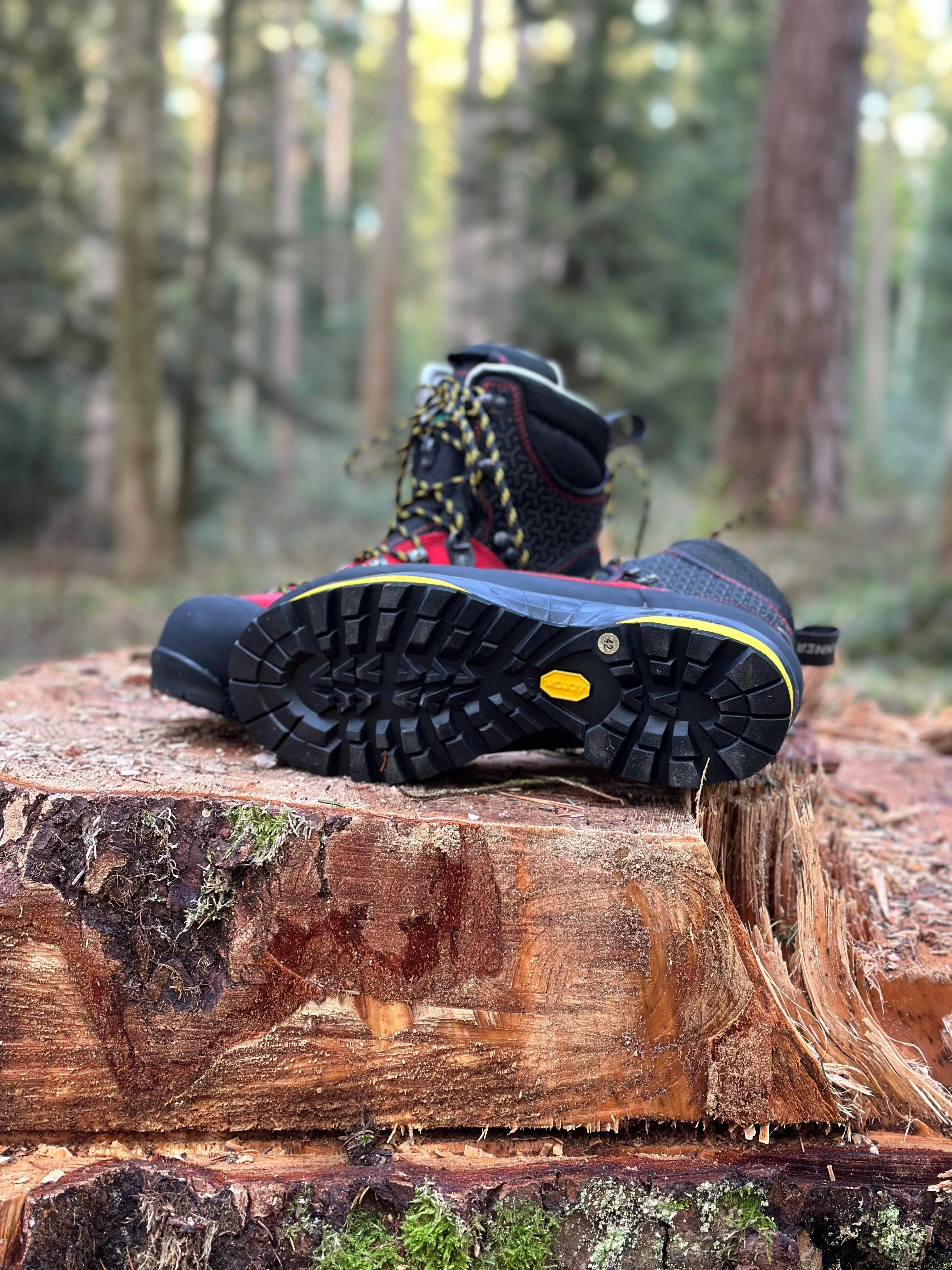 Bernina Safety S3 Wanderschuhe Logo