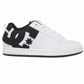 Lederschuhe Putzen Bürste Court Graffik