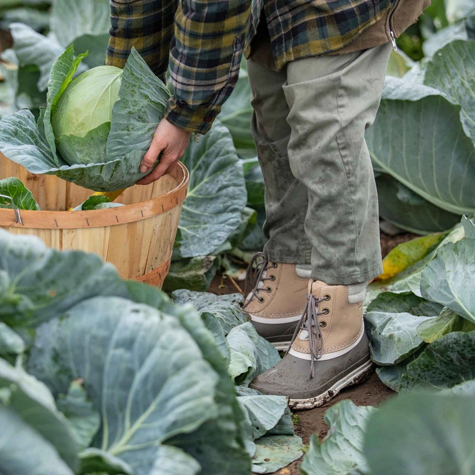 Damen Muck Originals Duck Leder-Kurzstiefel mit Schnrung | Taupe/Walnut Stiefel Schaftweite 34 Cm