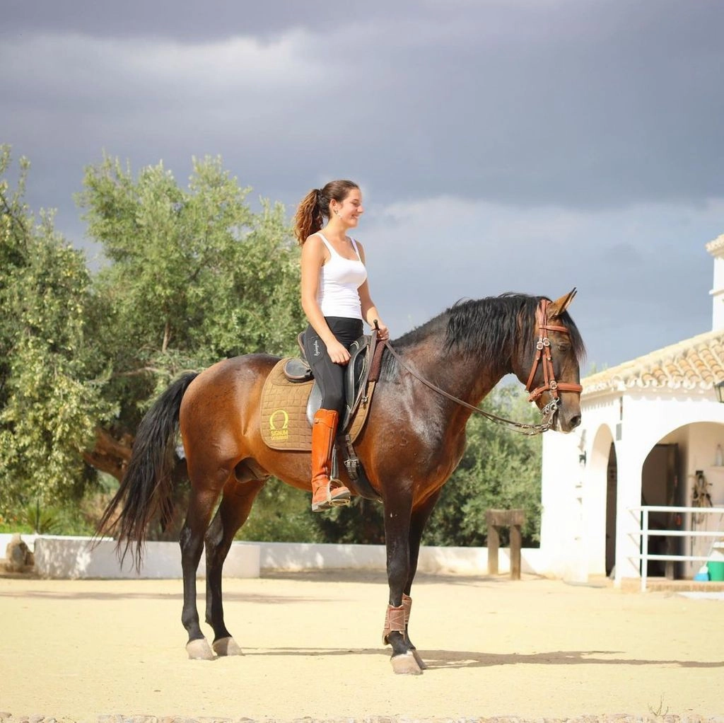 Prada Stiefel Absatz REITSTIEFEL POLO Gr. 46 (fllt wie 47 aus) Einzelstck