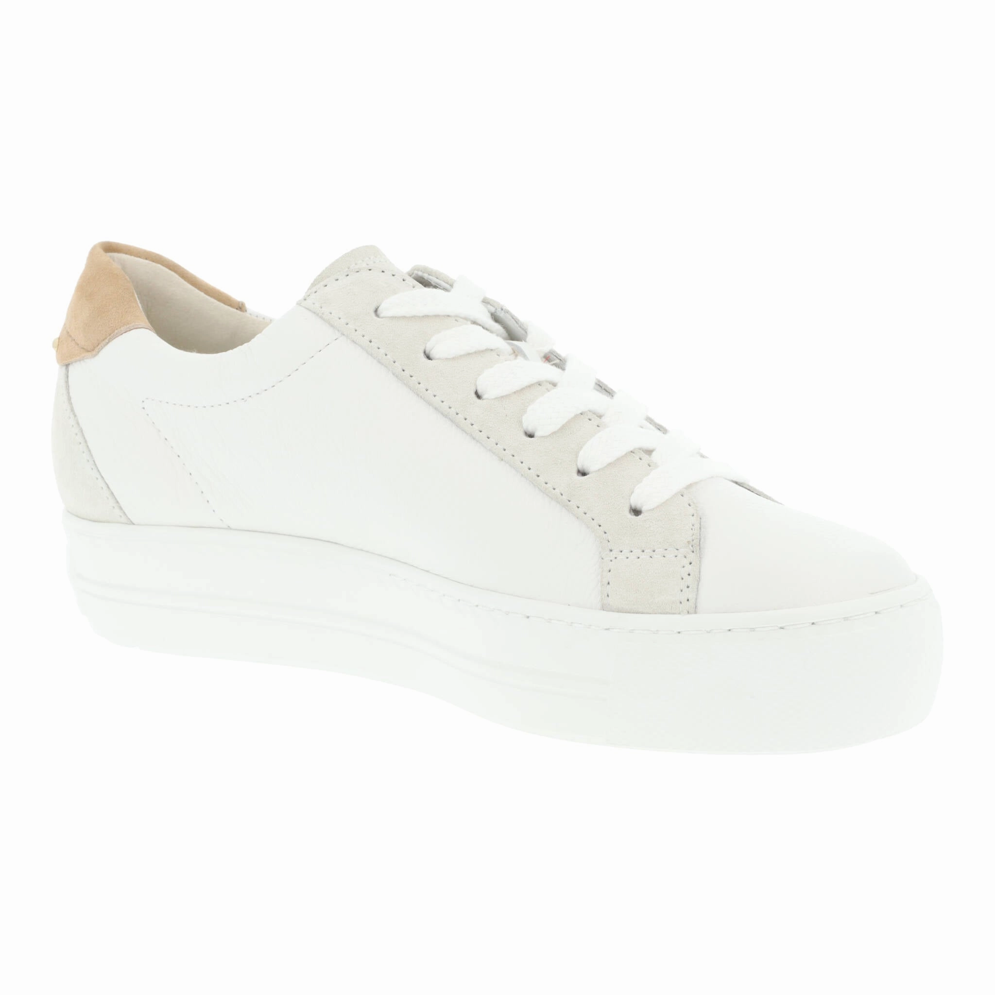 Sneaker Venice Paul Green