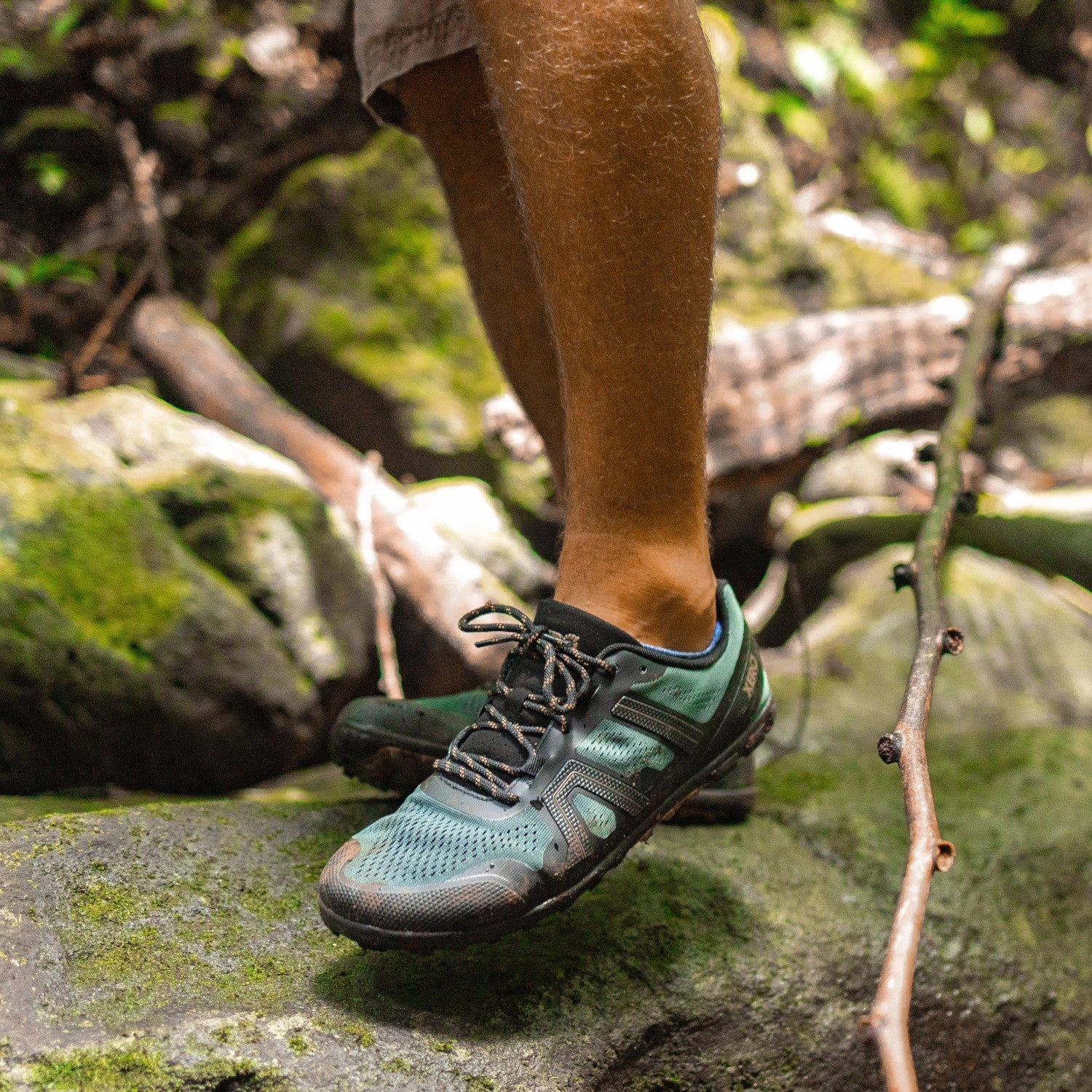 Xero Shoes Mesa Trail II Men - forest Wanderschuhe Innen Reinigen