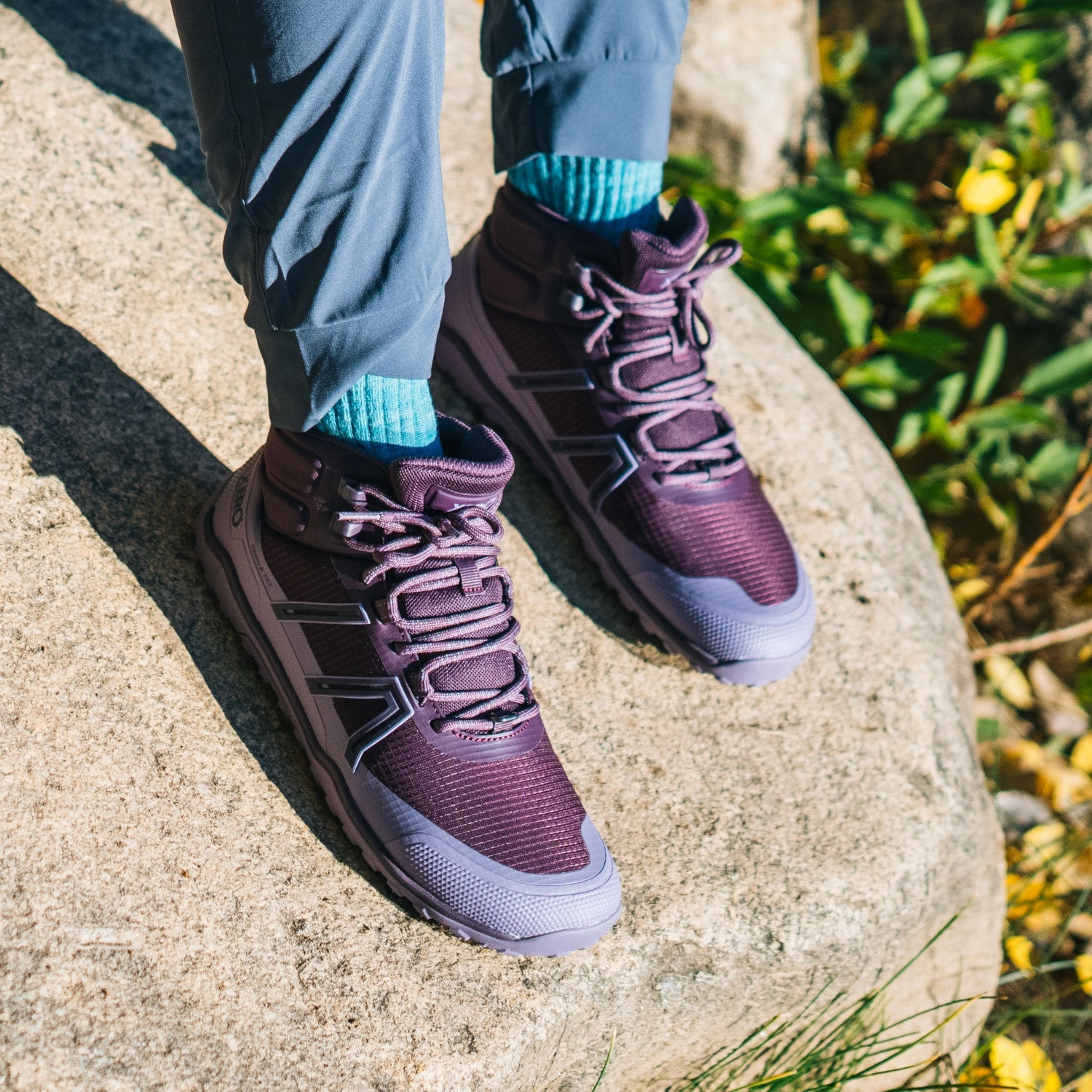 Hamburg Wanderschuhe Xero Shoes Scrambler Trail Mid Waterproof Women - plum perfect/sage purple