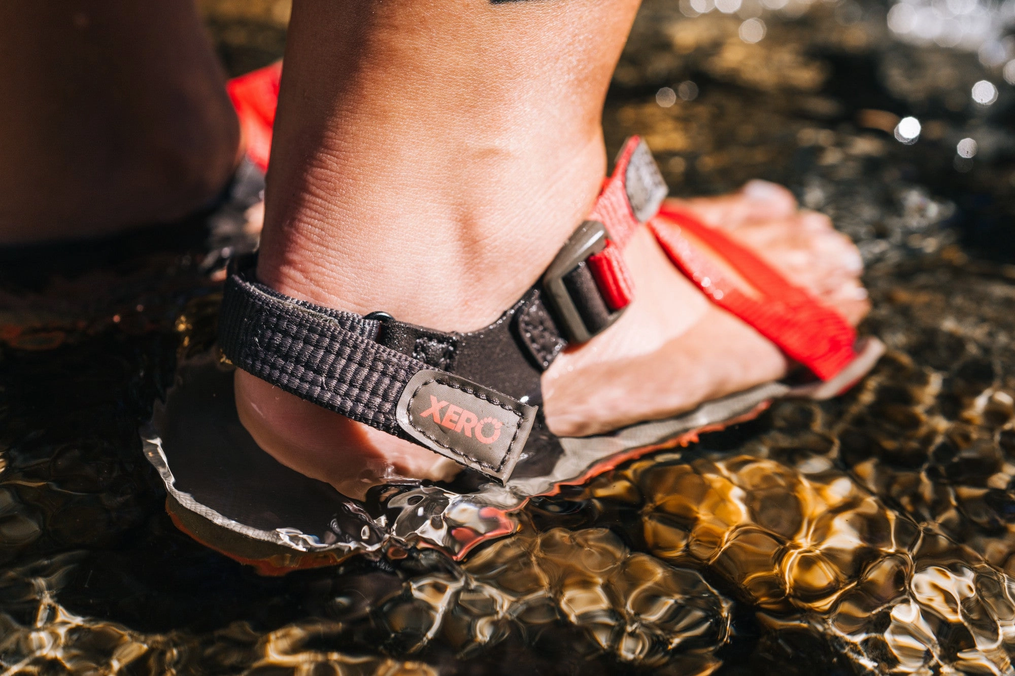 Xero Shoes Z-Trail EV Woman - sunset coral/morel Merger Gtx Wanderschuhe