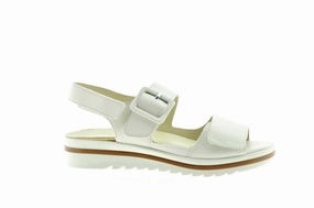 Waldlaufer 35702 Scholl Sandalen